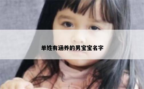 单姓有涵养的男宝宝名字