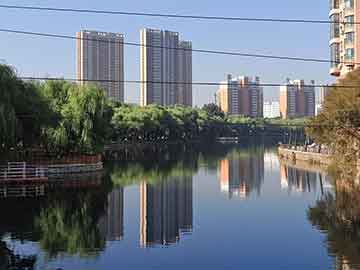 多空是什么意思，揭秘金融市场的核心术语